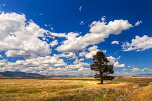 North of Weed-3260.jpg North of Weed-3260.jpg